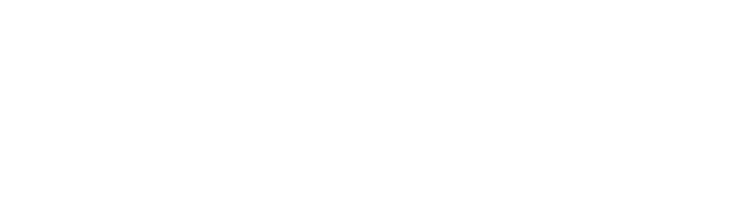 VA 성형외과